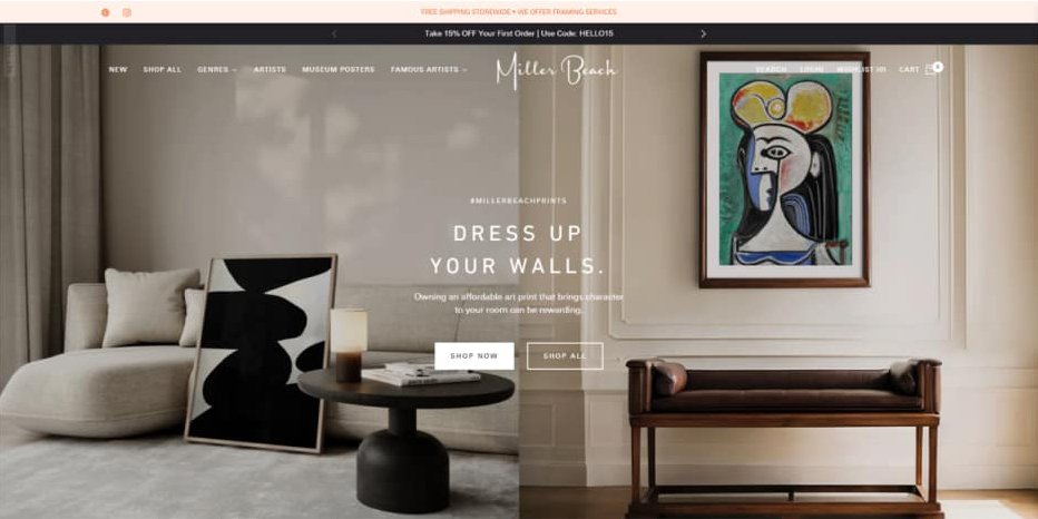 Shopify eCommerce Website Design